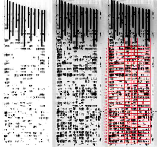 Left: A single photo; Middle: Two weeks worth of photos overlaid on each other; Right: The final grid and empty unit count